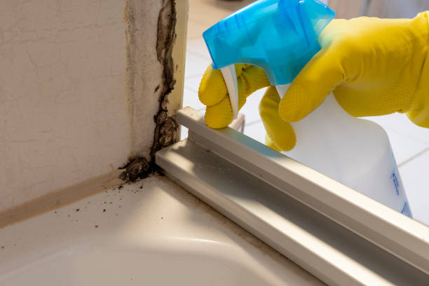 Santa Fe, NM Mold Remediation Company