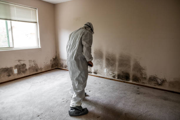 Best Mold Testing and Inspection Services in Santa Fe, NM